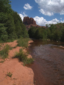 The Sandstone Banks of Oak Creek