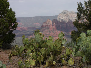 From the Airport Mesa